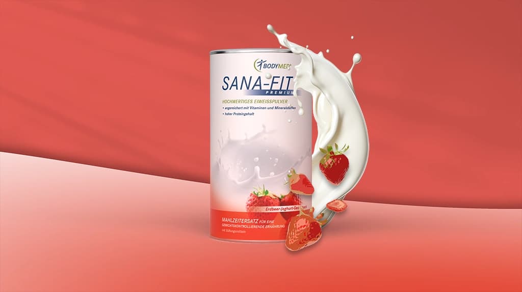 Sana-Fit Erdbeer-Joghurt 450 g Dose